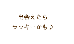 出会えたらラッキーかも♪