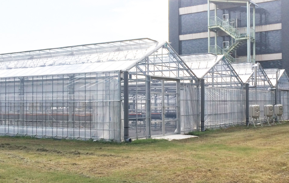 宇都宮大学 次世代環境制御型栽培温室