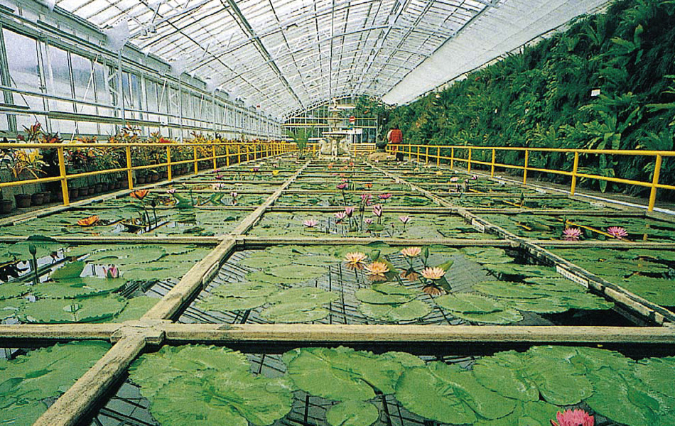 熱川バナナワニ園温室