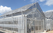 奈良県農業研究開発センター温室