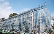 東京農工大学 都市型植物工場研究施設温室